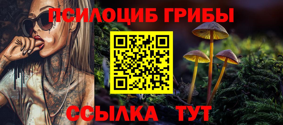 Галлюциногенные грибы Psilocybe Усолье-Сибирское