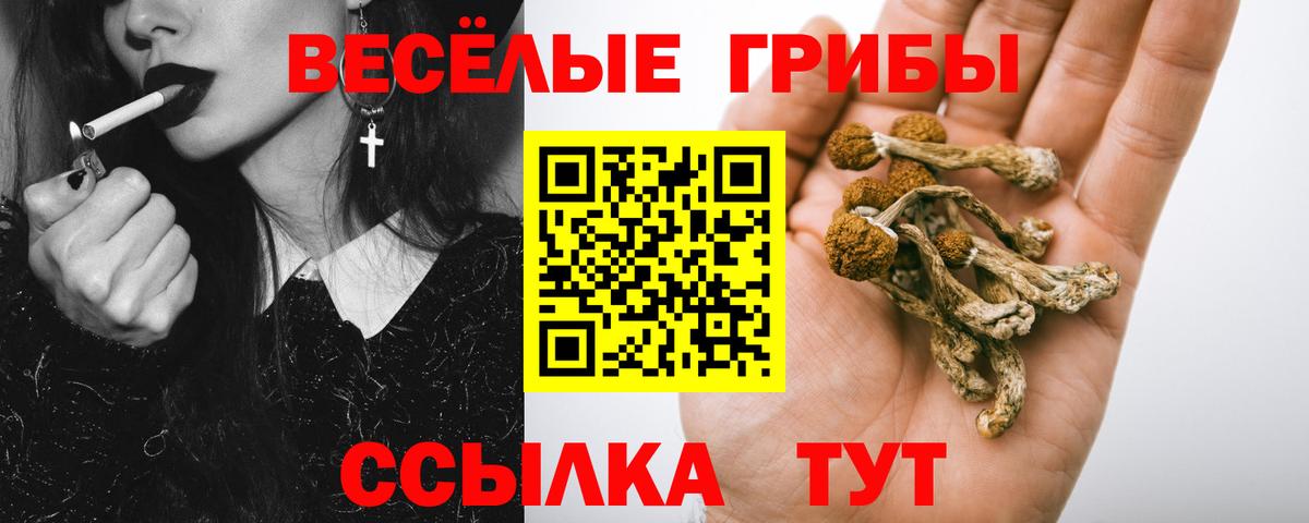Псилоцибиновые грибы ЛСД  Вход с VPN  Усолье-Сибирское 